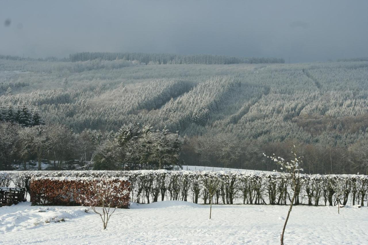 The View Hotel Francorchamps Eksteriør billede